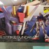 Rg Aile Strike – Image 2