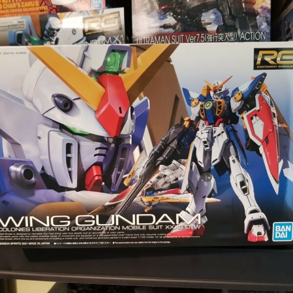 Rg Gundam Wing
