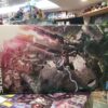 Mg Gundam Virtue – Image 2