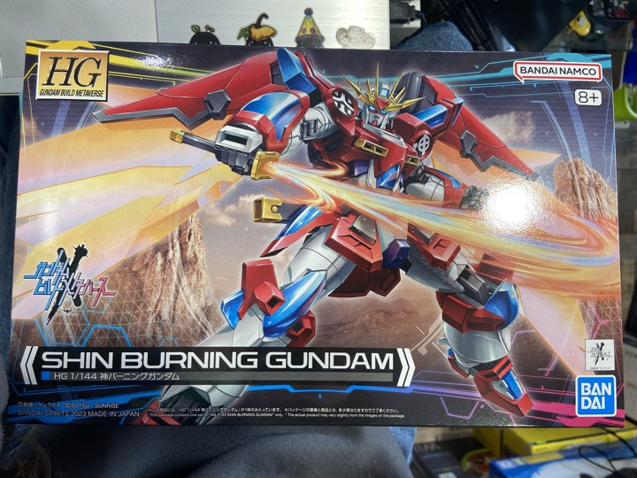 Hg shin burning