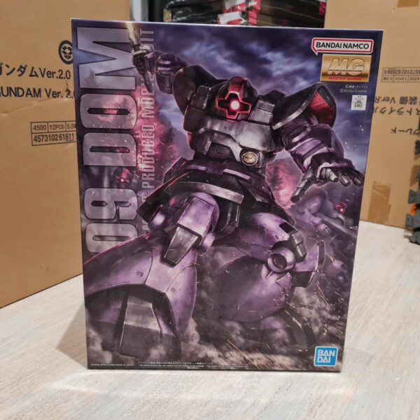 MG 1/100 Dom -new-