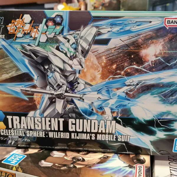 Hg transient glacier