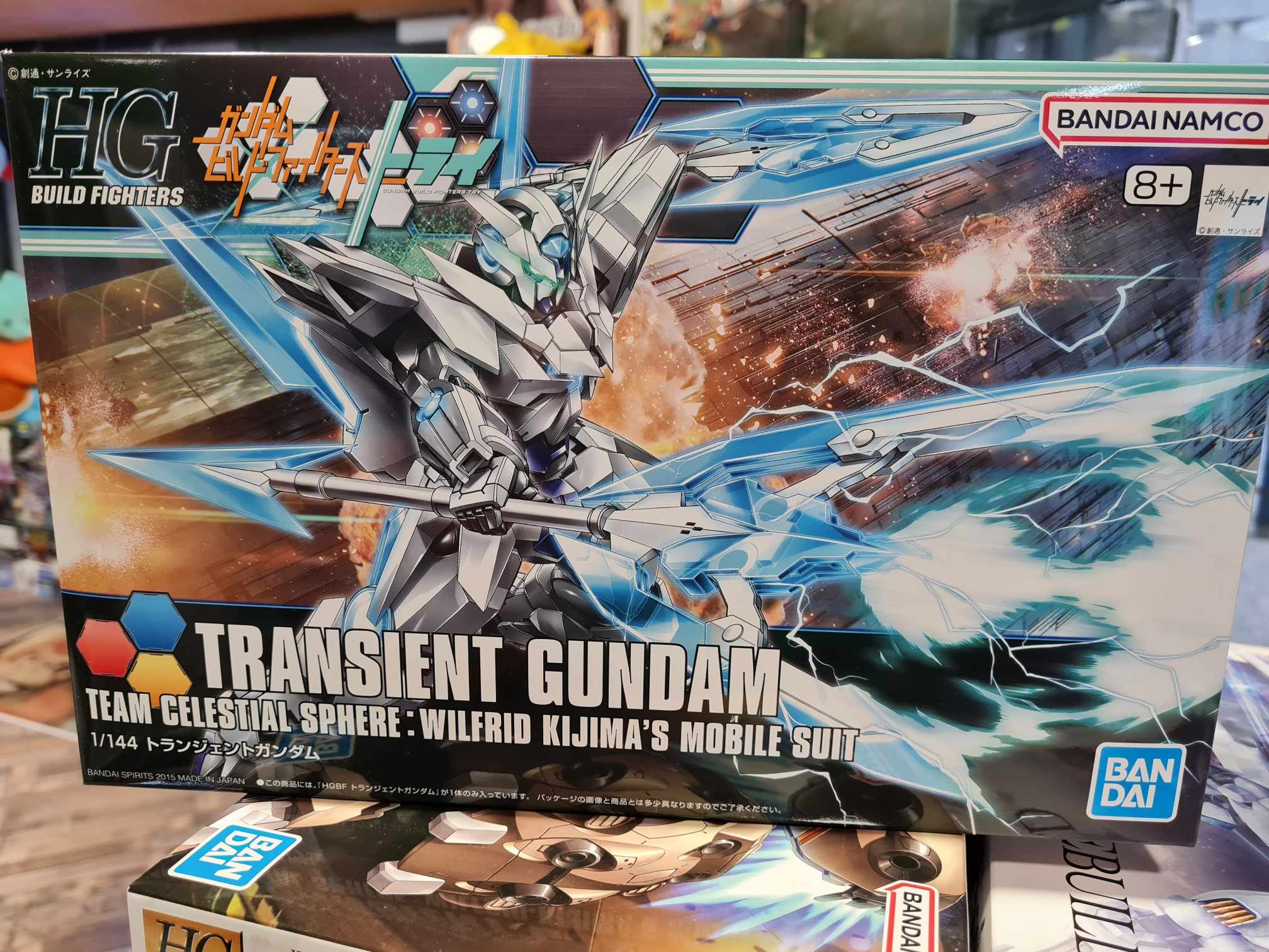 Hg transient glacier