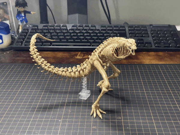 Mg Godzilla X kong – Image 2