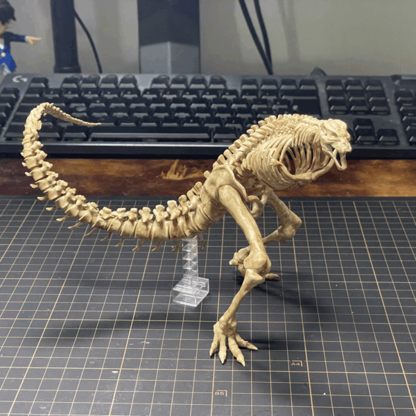 Mg Godzilla X kong