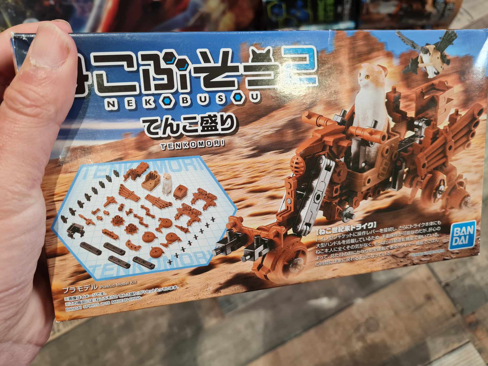 neko busou  terre