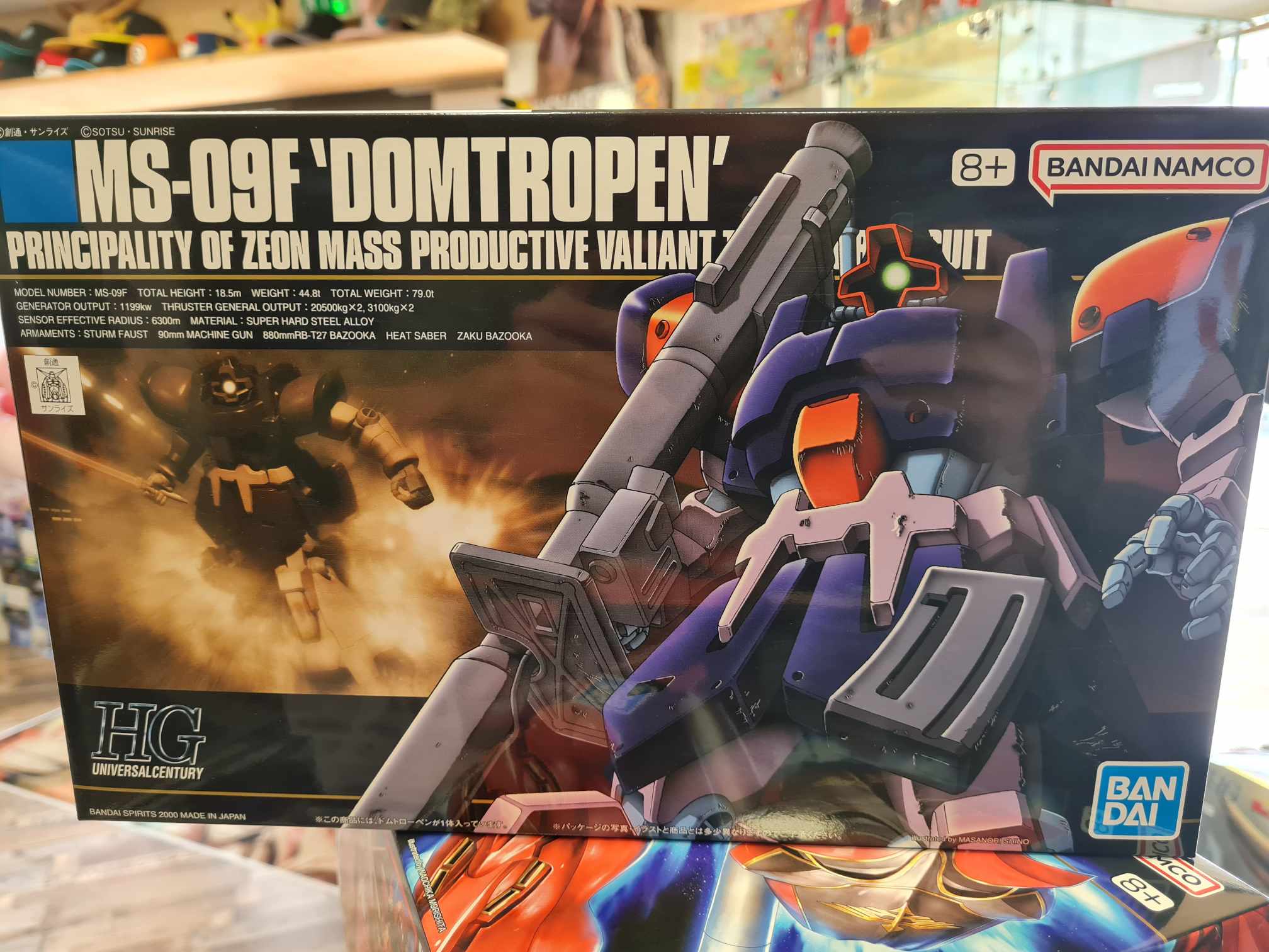 Hg domtropen