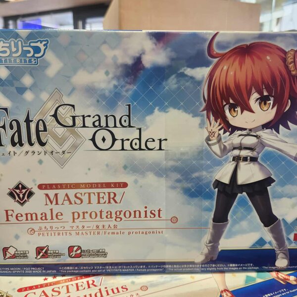 Hg fate grand order master