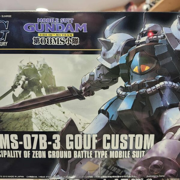 Hg gouf custom
