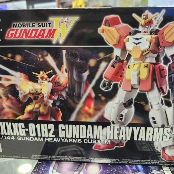 Hg heavy arms custom