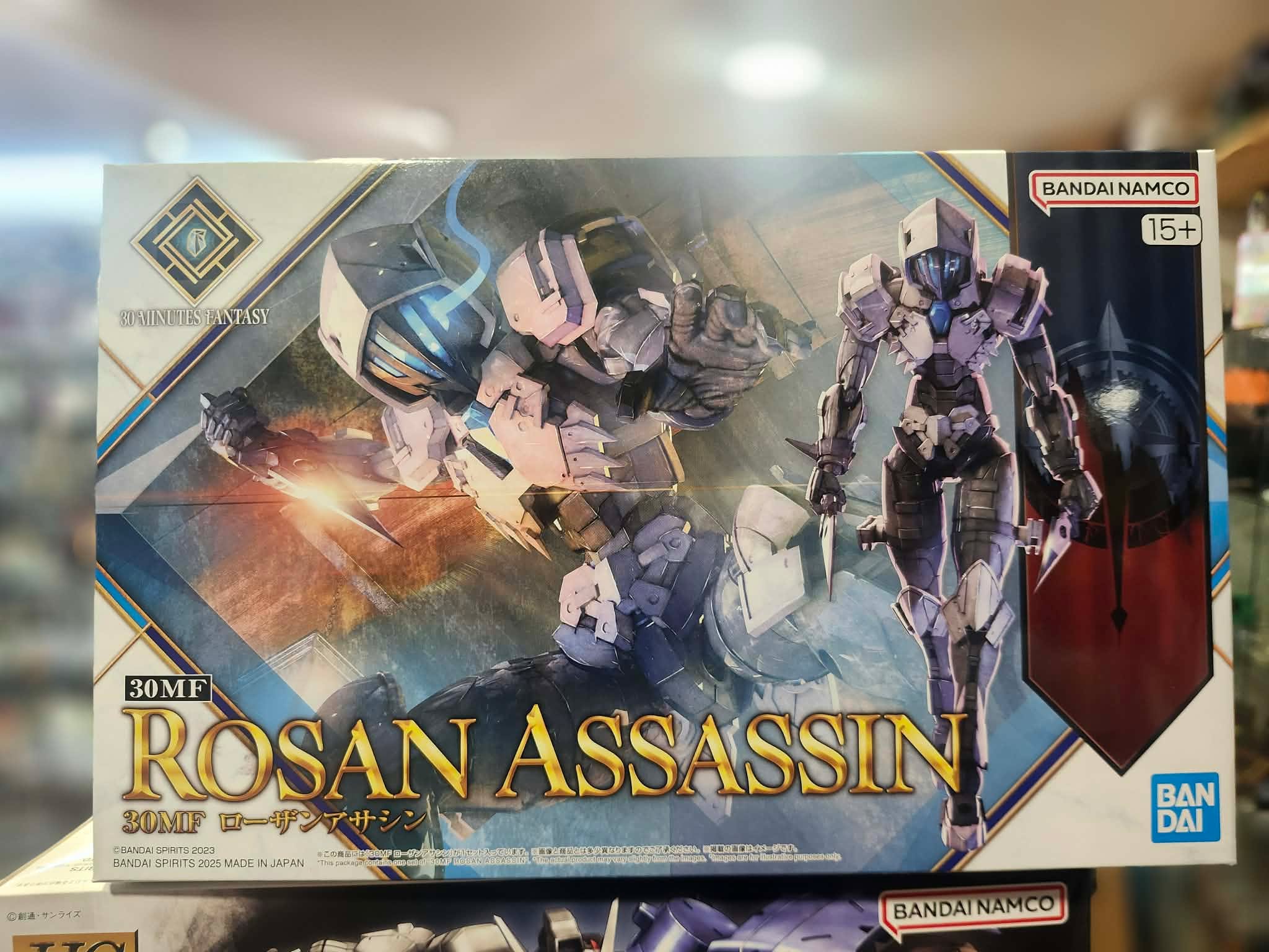 HG Gundam 30 Mf Rosan assassin
